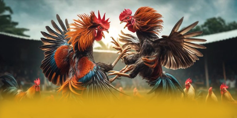 Giải đáp thắc mắc về BET168 Giải đáp thắc mắc về BET168