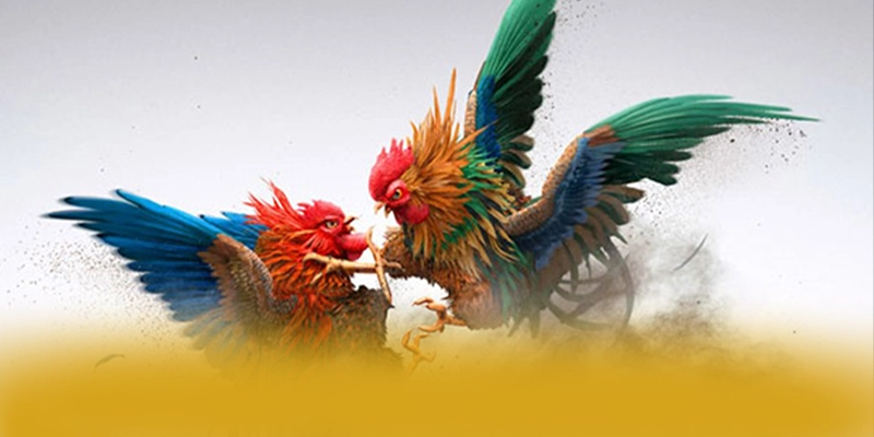 BET168 - Kết luận một cách tổng quan. BET168 - Kết luận một cách tổng quan.
