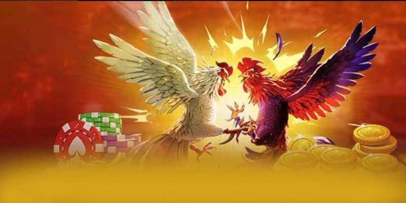 Dịch vụ chăm sóc khách hàng tại 8xbet Dịch vụ chăm sóc khách hàng tại 8xbet